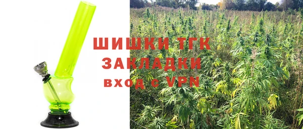 spice Алзамай
