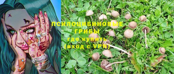 spice Алзамай