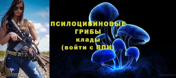 mix Алексеевка