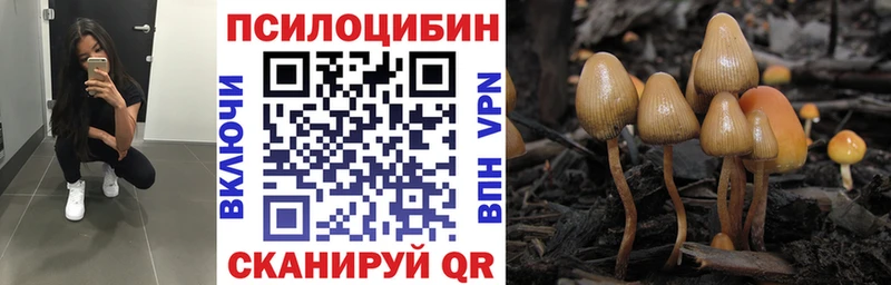 Галлюциногенные грибы Psilocybine cubensis Сураж